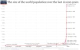 world population