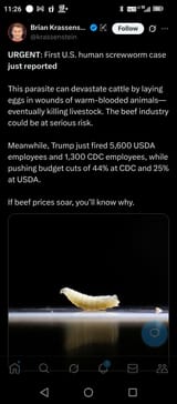 Thread 513952611 OP Image