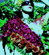 nasim_001
