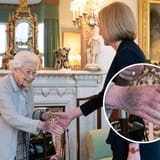 queen-bruised-hand