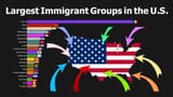 immigrunts