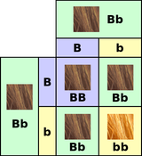 1742982763454819