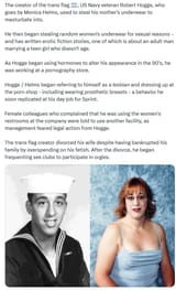 trans flag