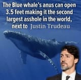 biggest asshole