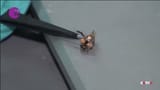 chinese drone bee
