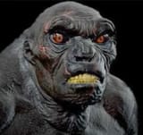 neanderthal monke