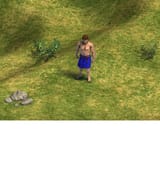 aoe villager