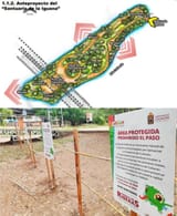 iguanasanctuary