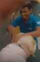 1749242819617066purestrikes_thumb.jpg