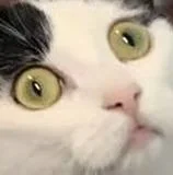 1473659