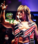 ace frog