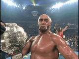 hollywood-hulk-hogan-nwo