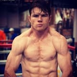 06068b4bc7fca53dfafd6169e4bad7b8--el-canelo-saul-canelo-alvarez