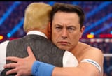 ElonCena