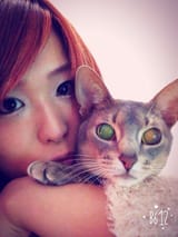 ioCat