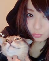 iokitty