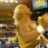 incredibly racist hogan