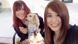 Cheesewithfans