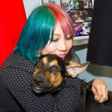 012_MMCDOG_03162018ds_0325--05a18dec03361b857ca0c88881b64ad5