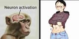 activation6678