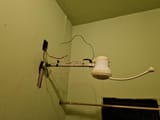Brazilian Showerhead