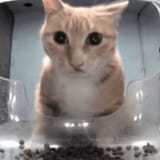 GYrT5KWWcAAj0-D.jfif
