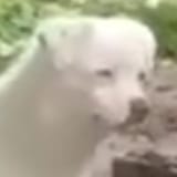 1679654429056585