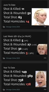 Chicago neegaru crime