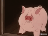 CryPiggyCry