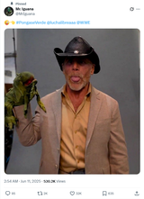 Screenshot 2025-06-16 at 09-43-36 Mr. Iguana on X 😜👈 #PongaseVerde @luchalibreaaa @WWE https __t.co_v72mapz7XH _ X