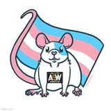 aew rat flag