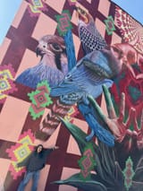 birds