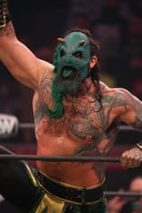 Luchasaurus_in_January_2022