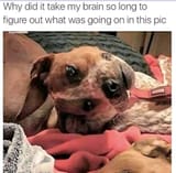 175005177609192301