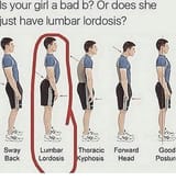 lyons