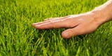 on-the-need-to-touch-grass