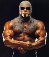 scottsteiner