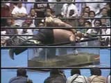 Piranha_Death_Match