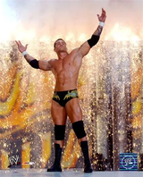 randyortonwwe