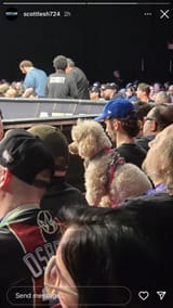 AEWdog