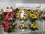 kabuki flowers