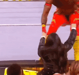 Aalyah Mysterio Wrestlemania Thong