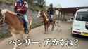 【🐴宗像観光大使🐴】舞華選手が行く宗像市の極上アクティビティ＆絶景スポット！宗像PR旅③【むなかた】IIIII_thumb.jpg