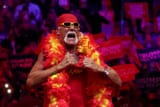 Hulkster