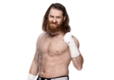 Sami_Zayn_Profile--4f993ee786bf3de7f75d3290db9d0aab