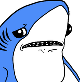 shark sad