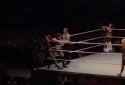 The Move that ended Paige&#039;s Career_thumb.jpg