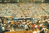 mania 3 crowd