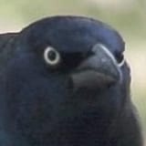 1489777448934
