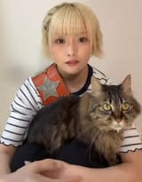 poicat